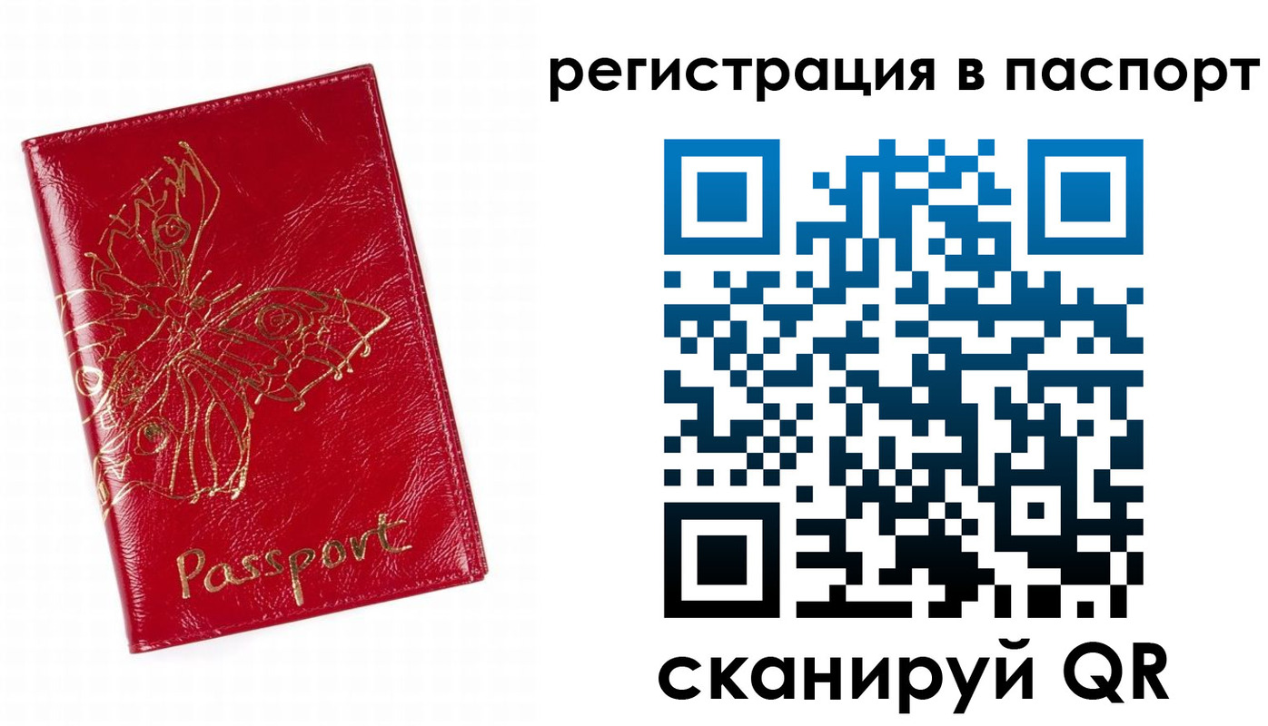 регистрация в Бавлах